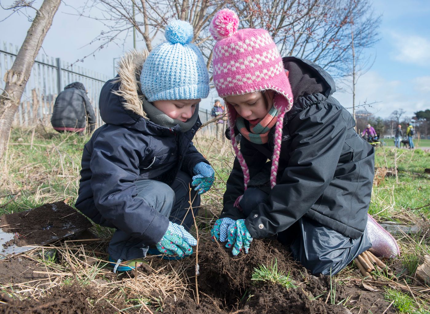 The Woodland Trust Want More Trees To Be Planted In Dorset As They Handout Free Saplings To 